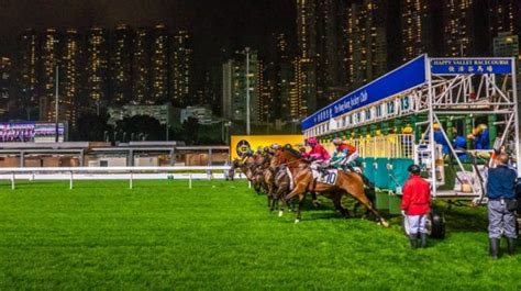 happy valley racecards.